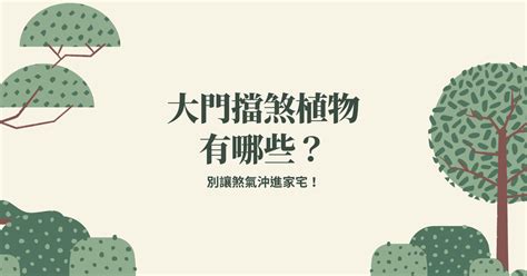 室外擋煞植物|別讓煞氣沖進家宅！大門擋煞植物有哪些？ 